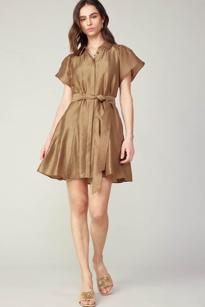 Belted Galore Mini Dress