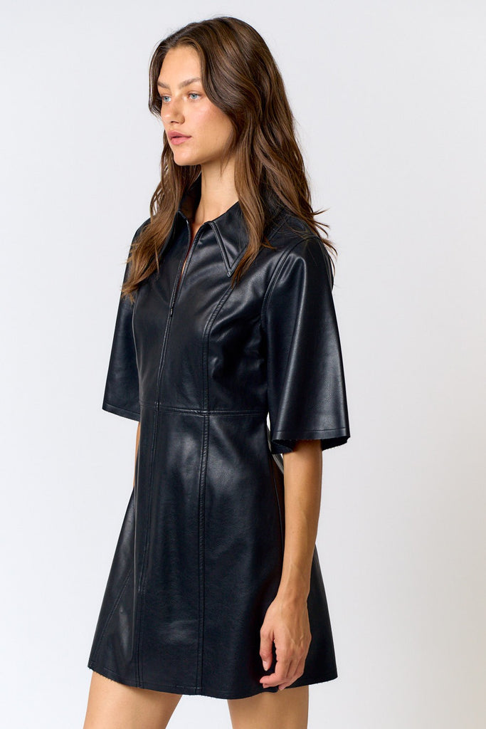 Faux Panel Dress