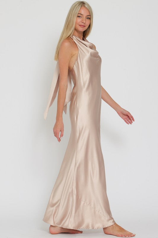 Champagne Toast Sleeveless Tie back Maxi Dress