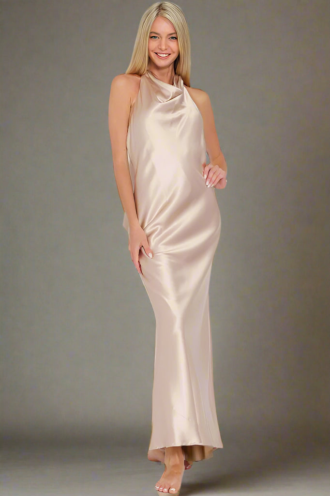 Champagne Toast Sleeveless Tie back Maxi Dress