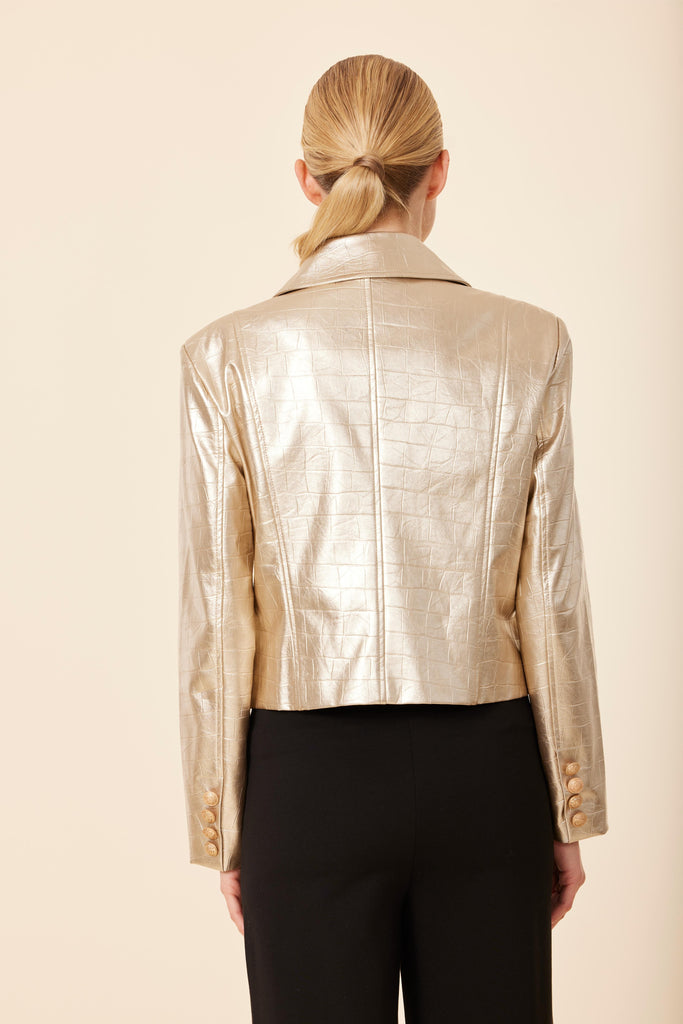 Starlit Gleam Jacket