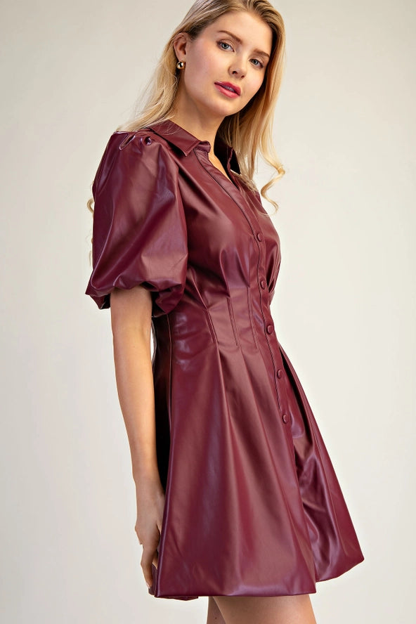 Wine And Shine Shirt Dress