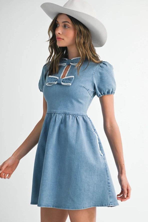 Bluebonnet Charm Mini Dress