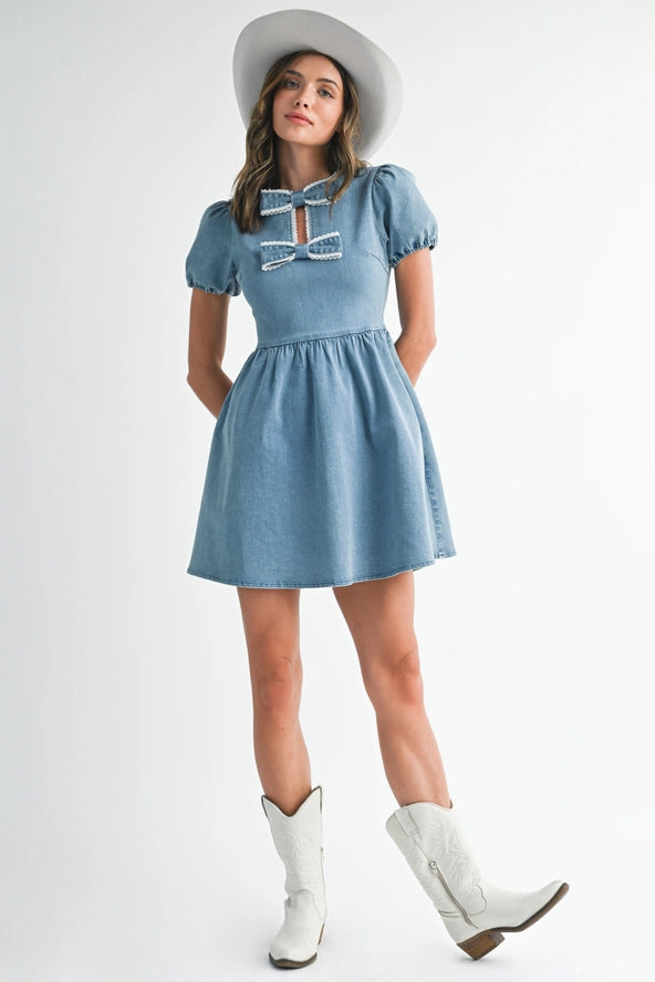 Bluebonnet Charm Mini Dress
