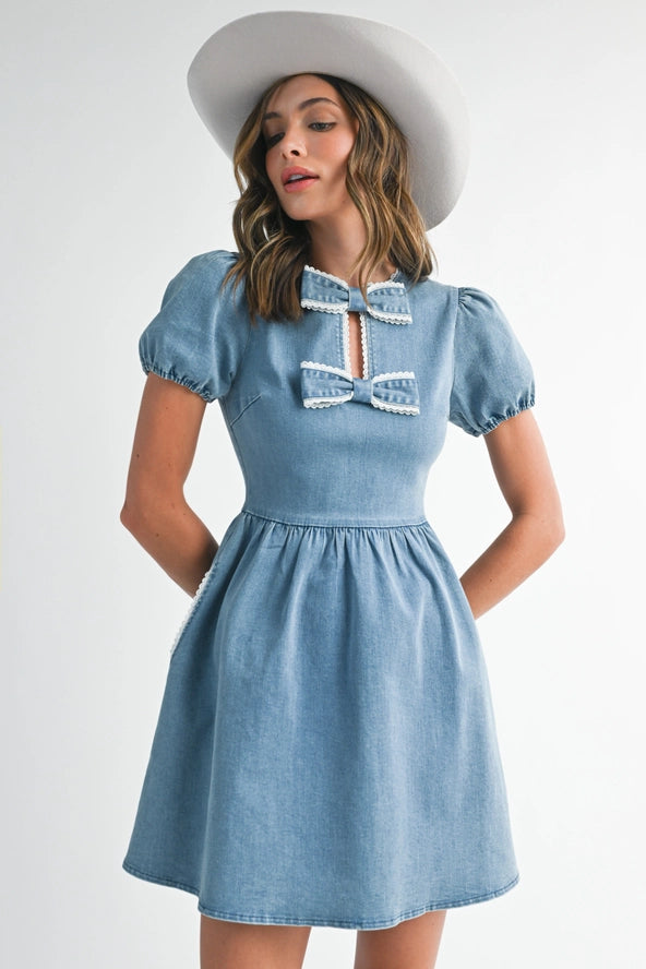 Bluebonnet Charm Mini Dress